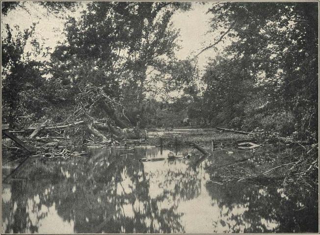 Bull Run Battlefield