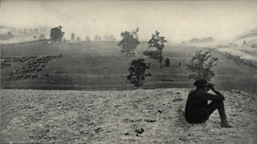 Fog of War at Antietam