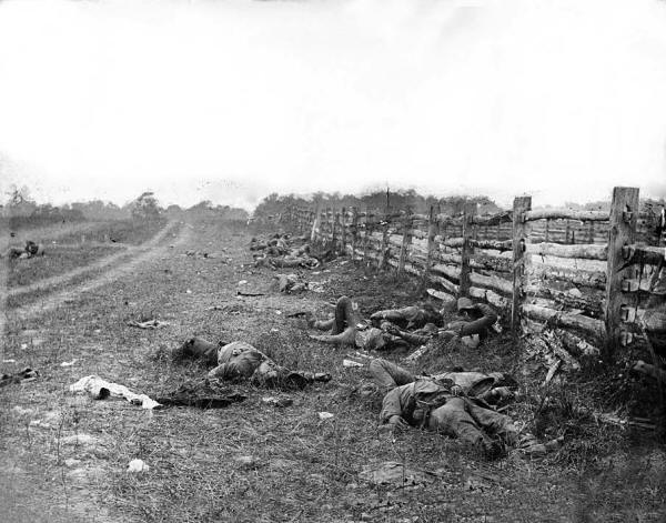 Dead Soldiers at Antietam