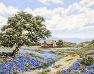 Texas Hill Country in Spring Time