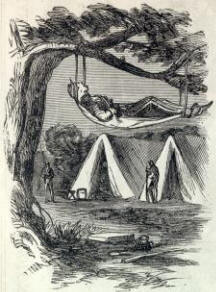 Hammock