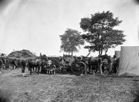 Antietam Blacksmith