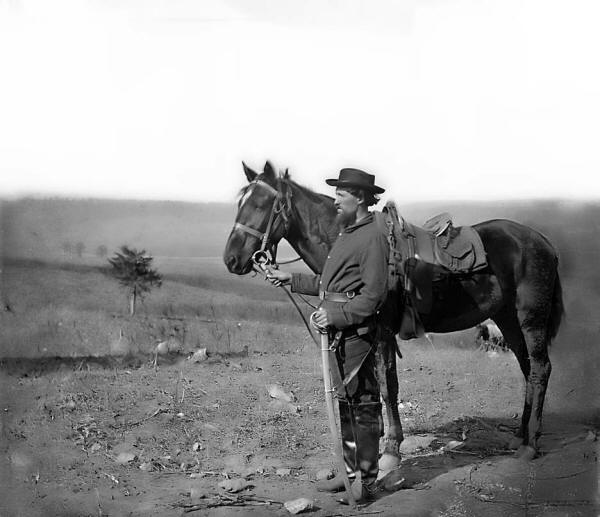 Antietam Cavalry Officer