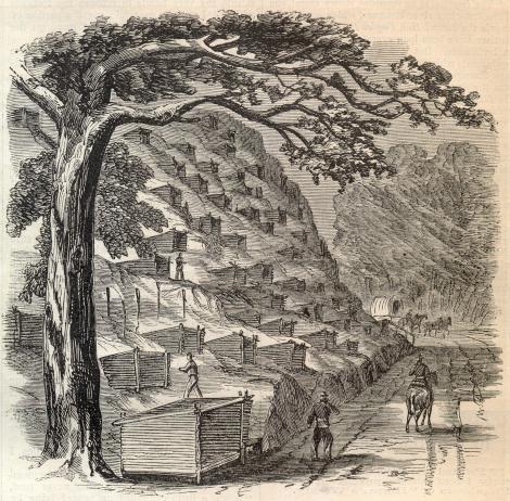 Vicksburg Huts