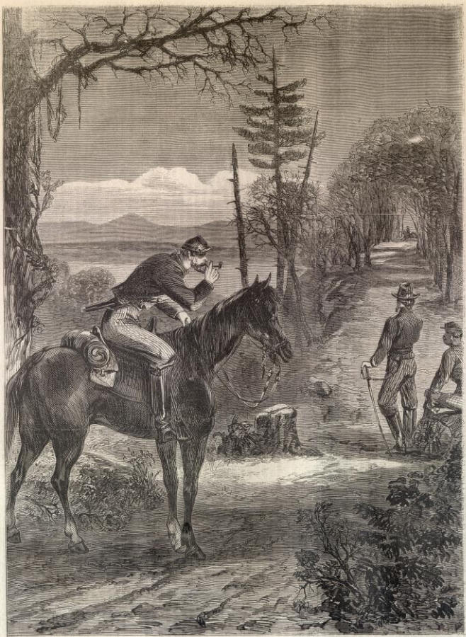Courier