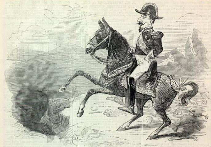 Napoleon Cartoon