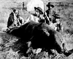 Custer Bear Hunt