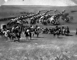 Custer's Cavalry