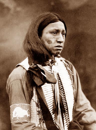 Lakota Brave